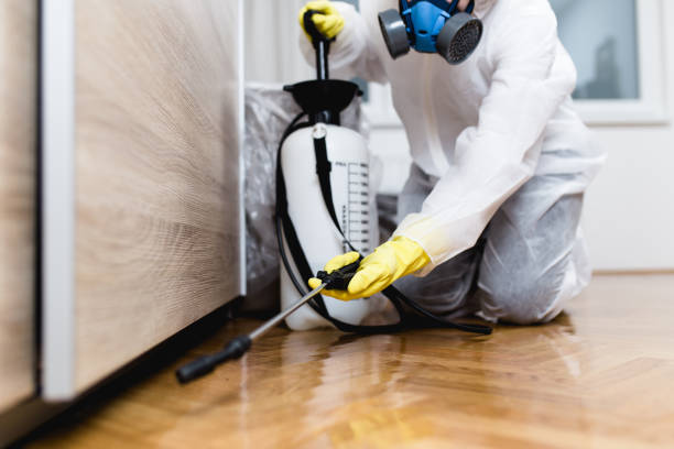 Best Local Pest Control Services  in Yoe, PA