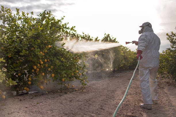 Best Commercial Pest Control Services  in Yoe, PA
