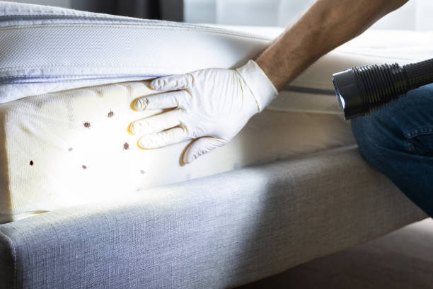 Best Pest Control Near Me  in Yoe, PA
