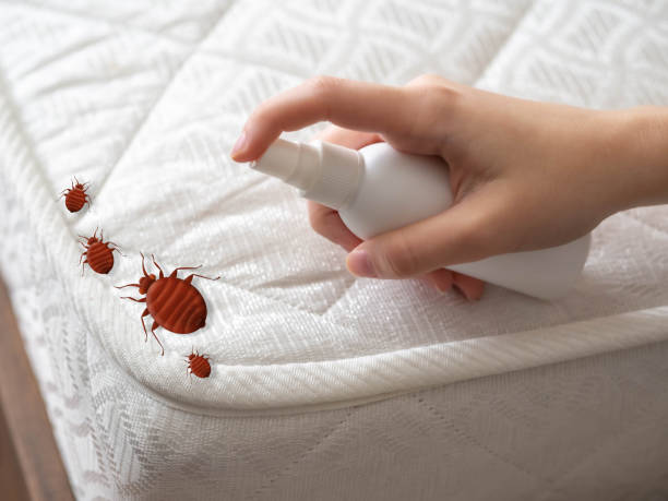 Best Pest Control for Businesses  in Yoe, PA