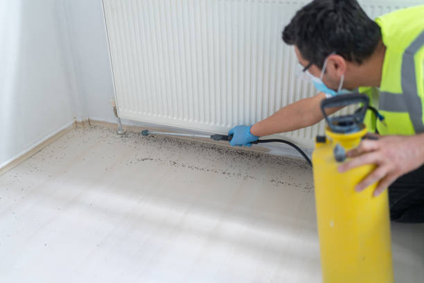 Best Wasp Removal Services  in Yoe, PA